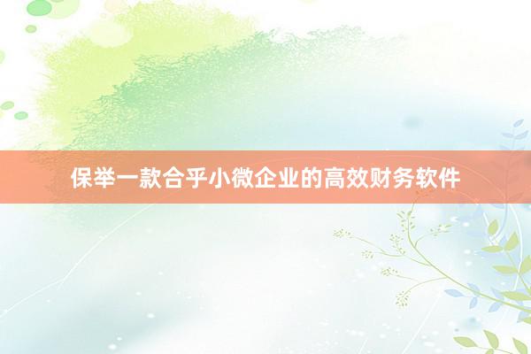 保举一款合乎小微企业的高效财务软件