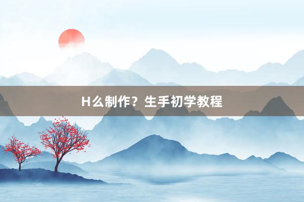 H么制作？生手初学教程