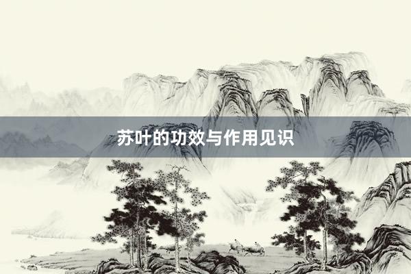 苏叶的功效与作用见识
